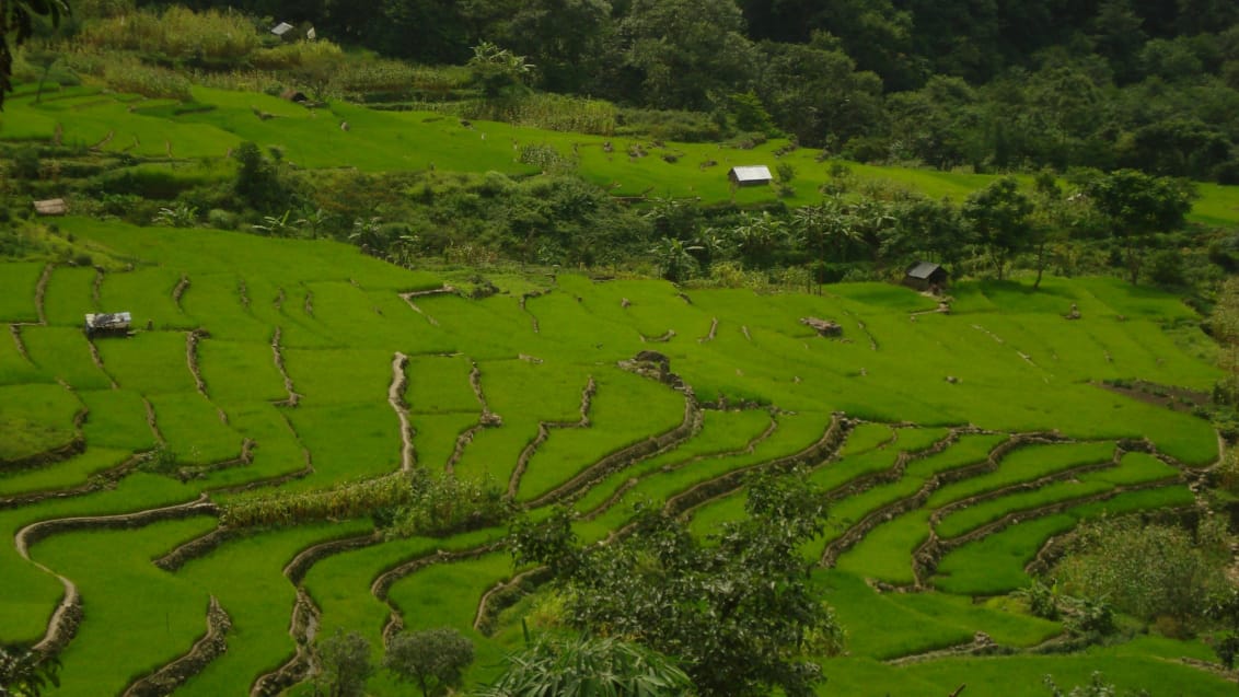 Khonoma Village
